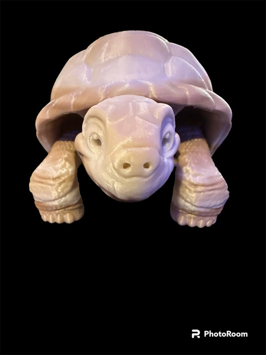 Timmy the Tortoise