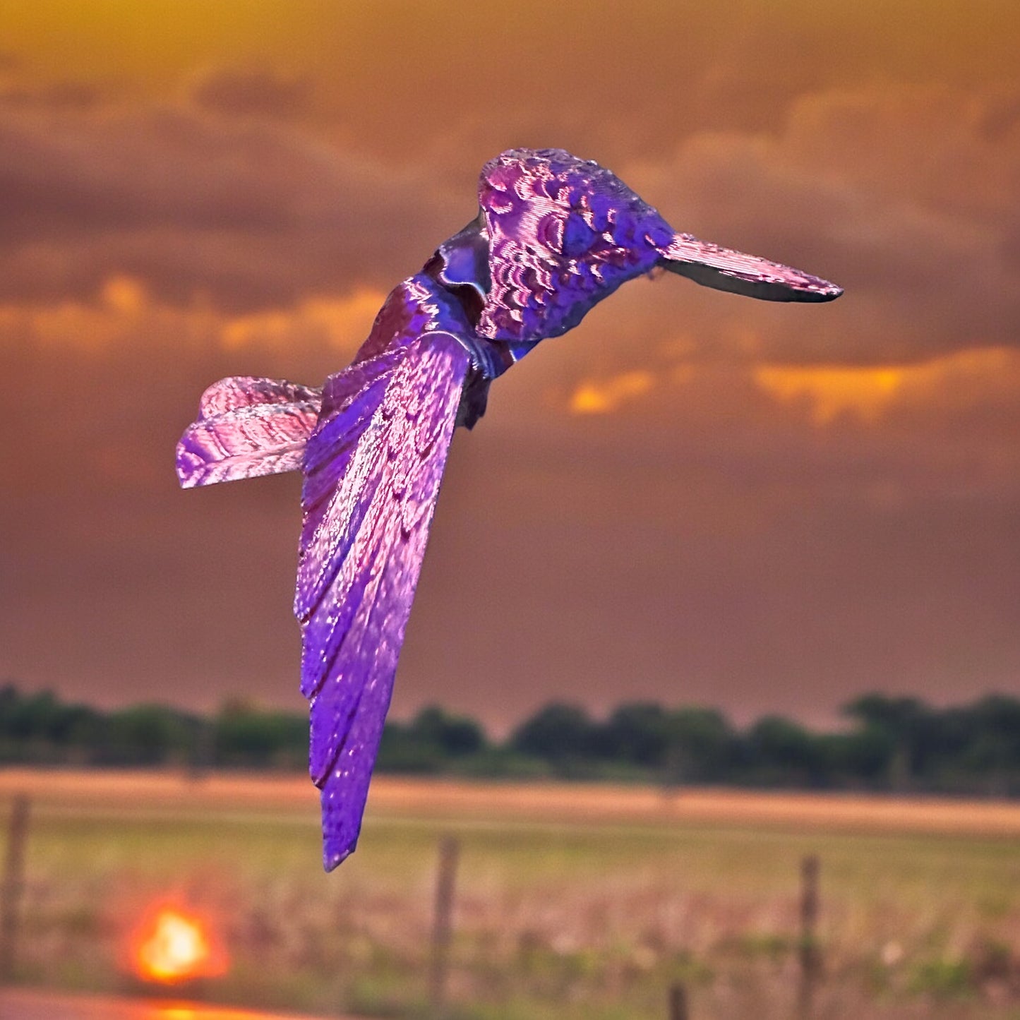 Hummingbird