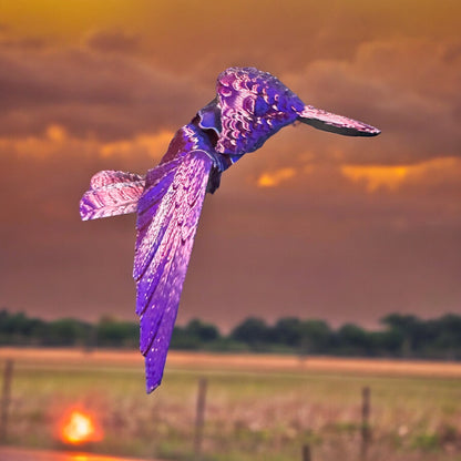 Hummingbird