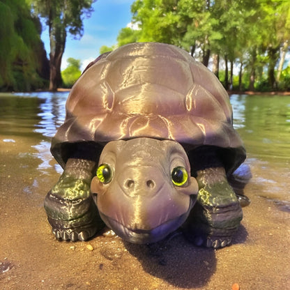 Timmy the Tortoise