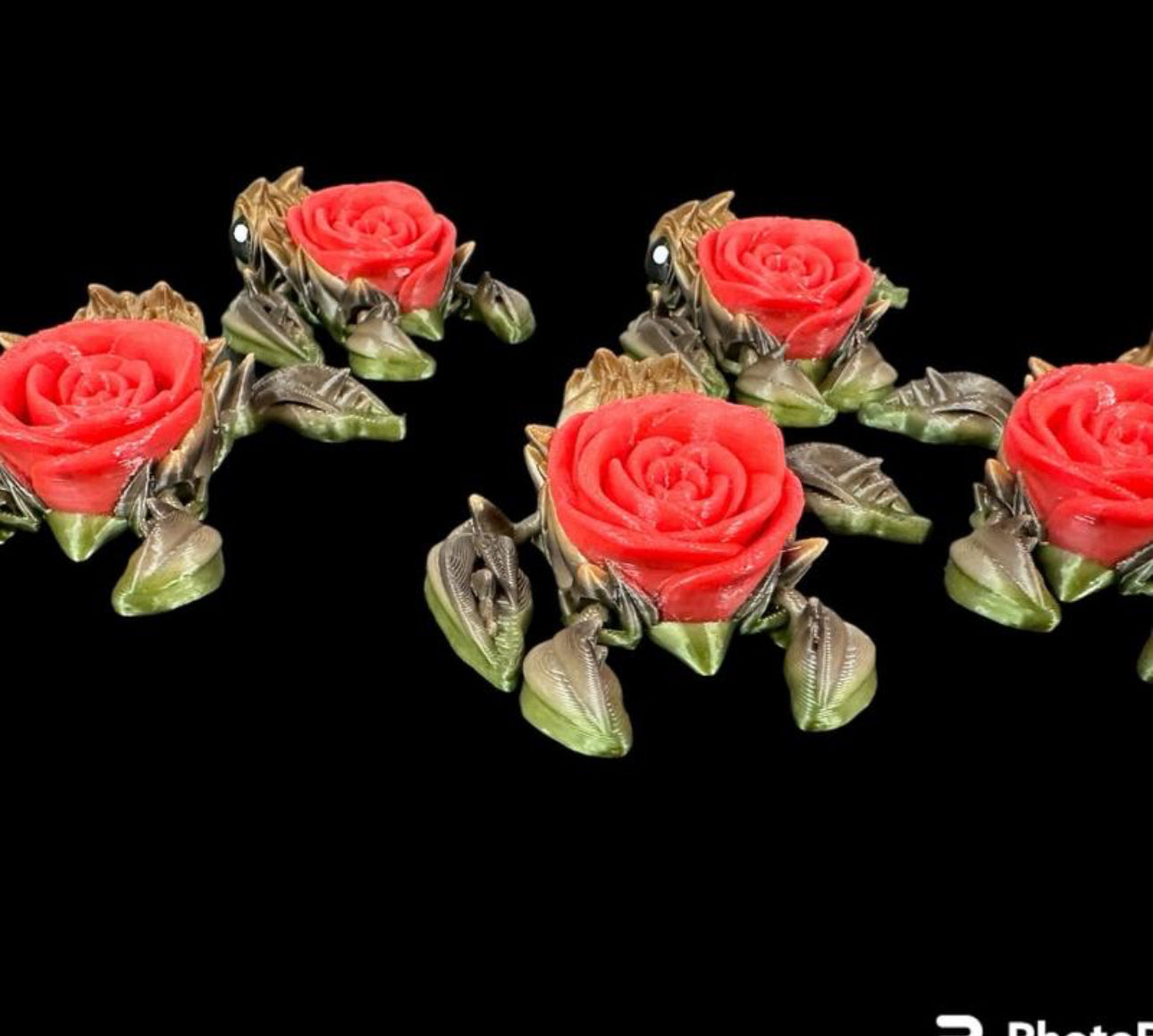 Rose turtles