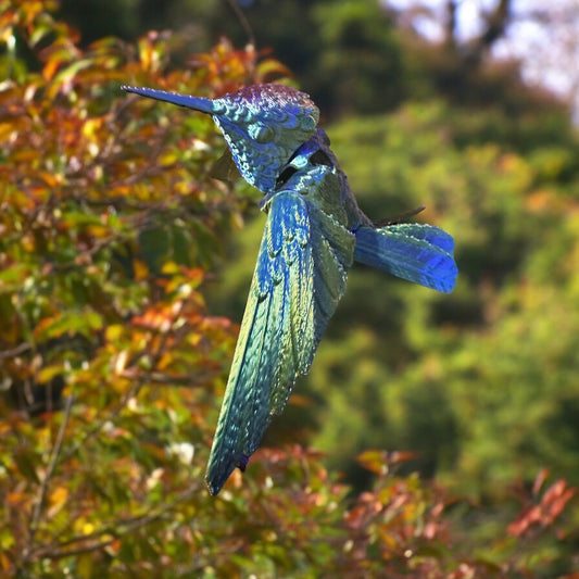 Hummingbird