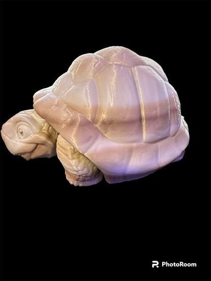 Timmy the Tortoise
