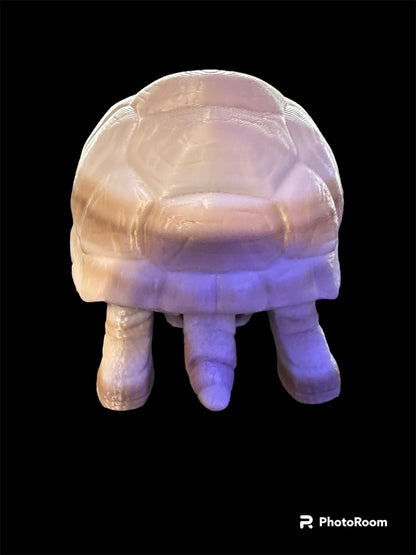 Timmy the Tortoise