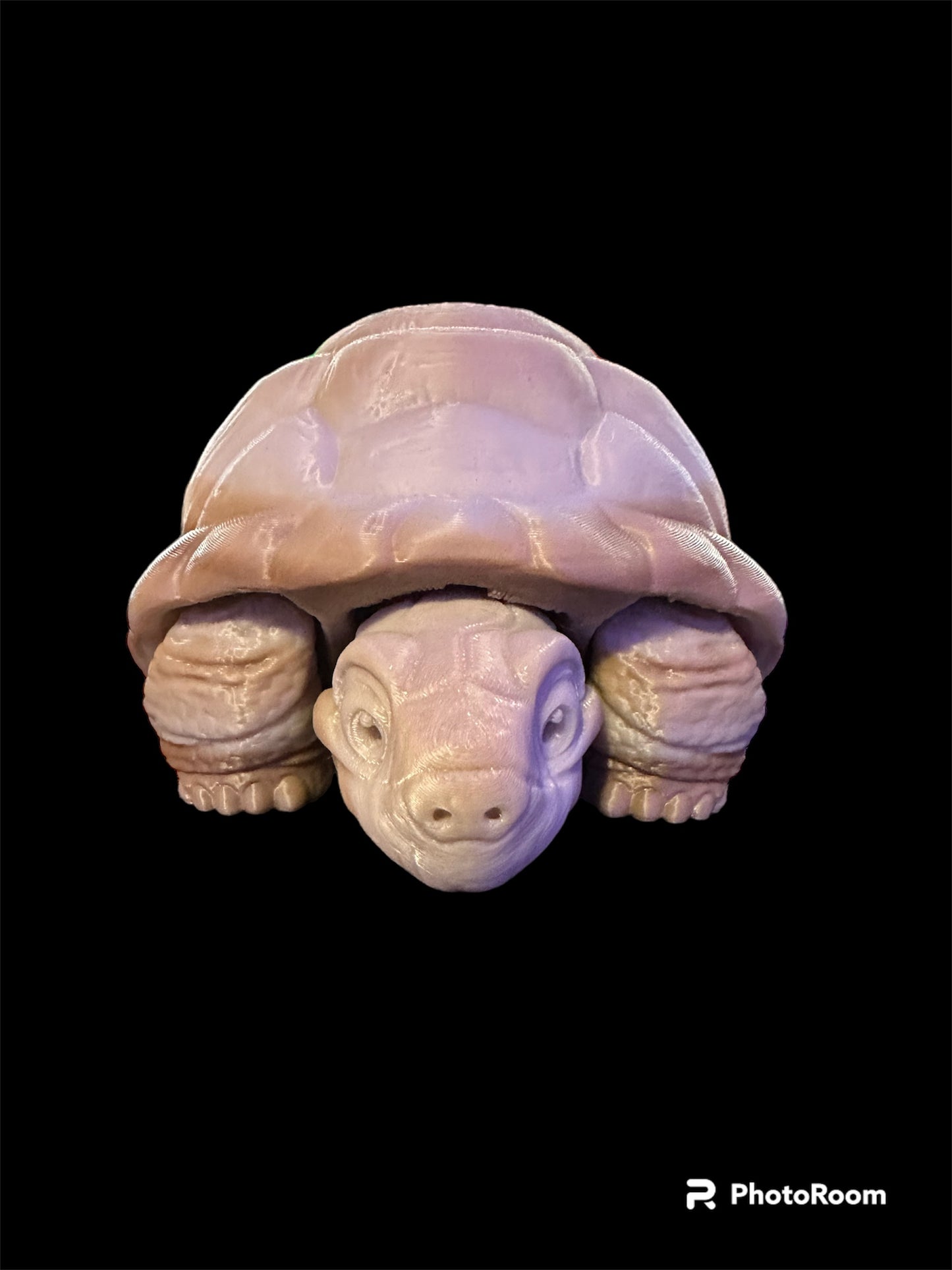 Timmy the Tortoise