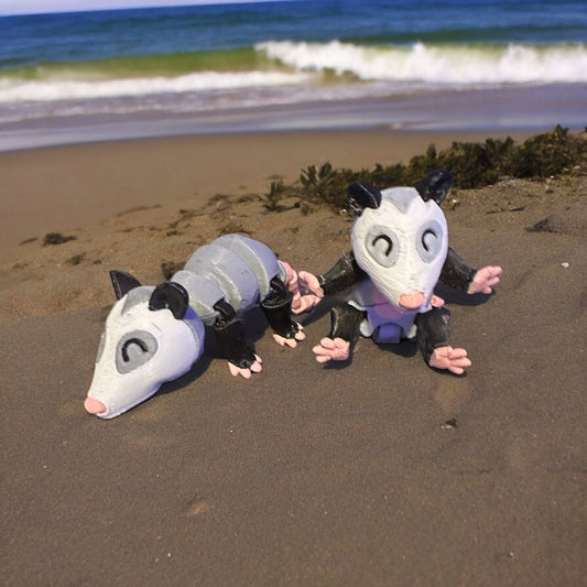 Possum’s