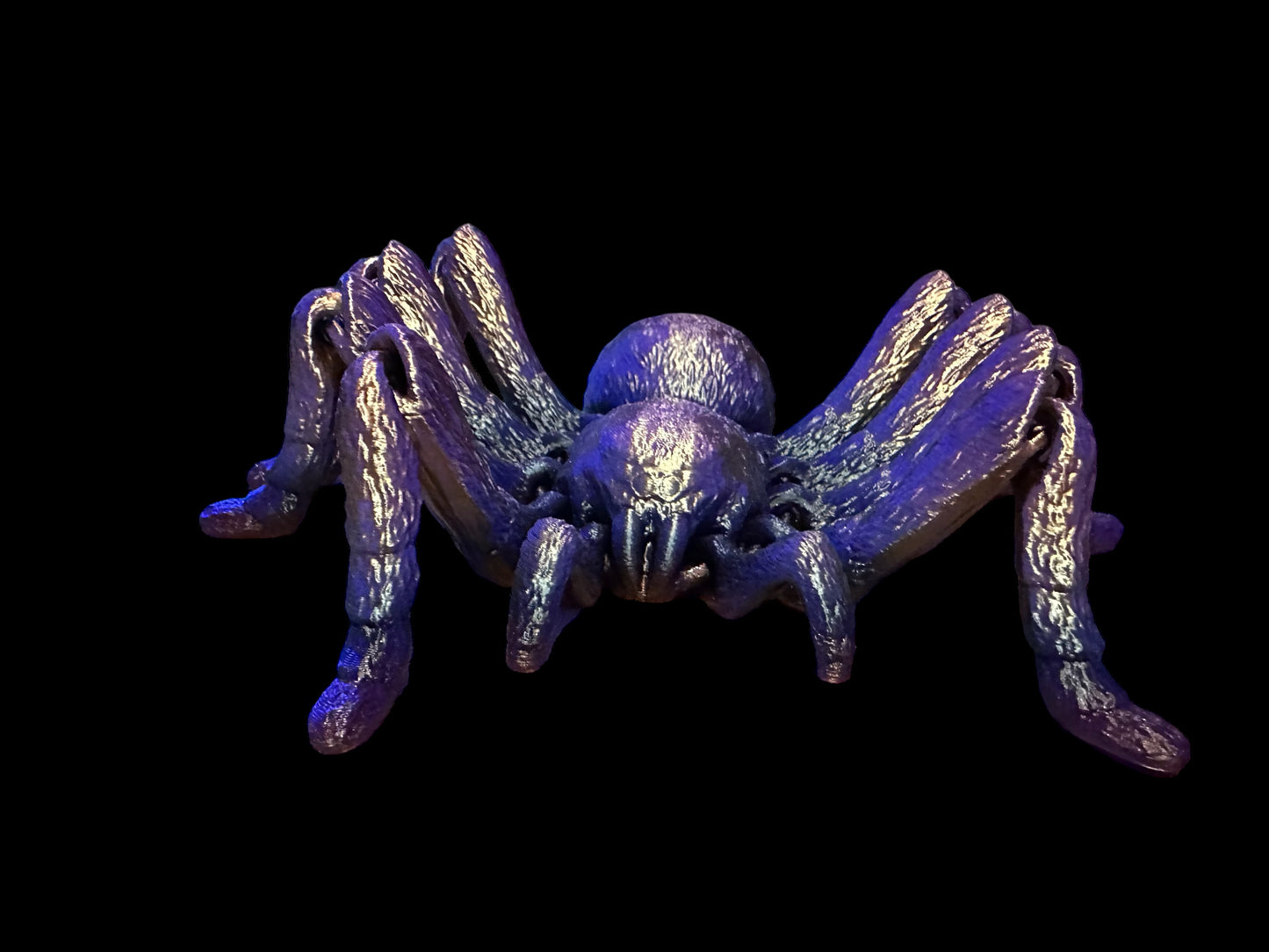 Creepy crawler Tarantula